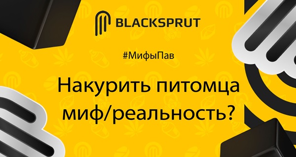 Актуальная ссылка blacksprut альтернатива? как зайти на сайт blacksprut